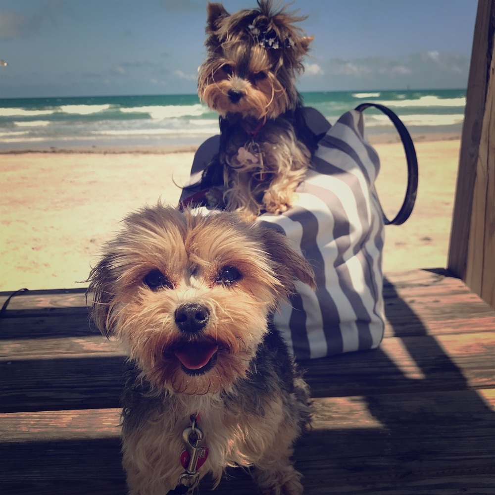 We’re on a vacation right now
